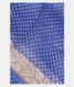 Blue Kora Organza Printed Saree T1893921