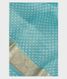 Blue Kora Organza Printed Saree T1894061