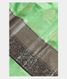 Green Chaniya Silk Saree T2109601