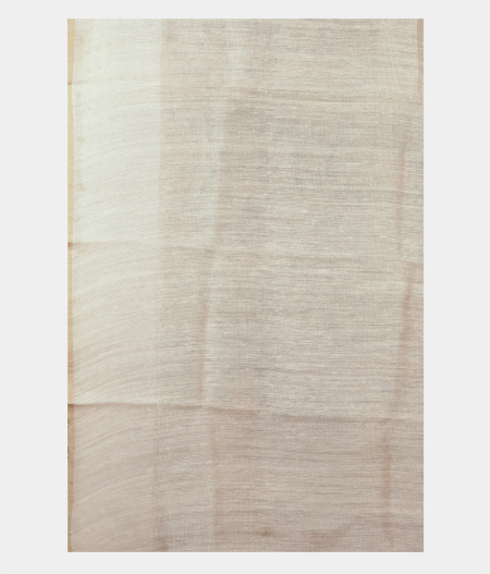 Peach Kora Organza Printed Saree T2218393