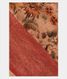 Beige Tussar Printed Saree T2158741