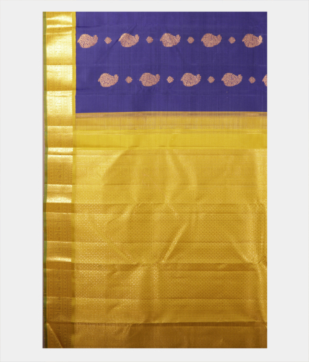 Blue Handwoven Kanjivaram Silk Saree T2179834