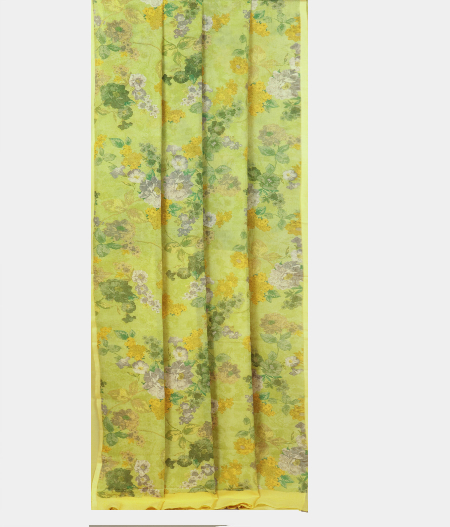 green-chiffon-printed-silk-saree-t224118-t224118-b
