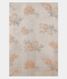 Off-White Georgette Printed Silk Saree T2243993