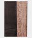 Black Tussar Printed Saree T2244124