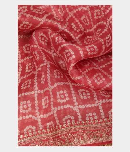 Dark Peach Kora Organza Printed Saree T2243232