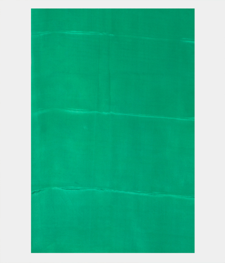 light-green-chiffon-printed-silk-saree-t224133-t224133-c