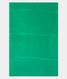 light-green-chiffon-printed-silk-saree-t224133-t224133-c