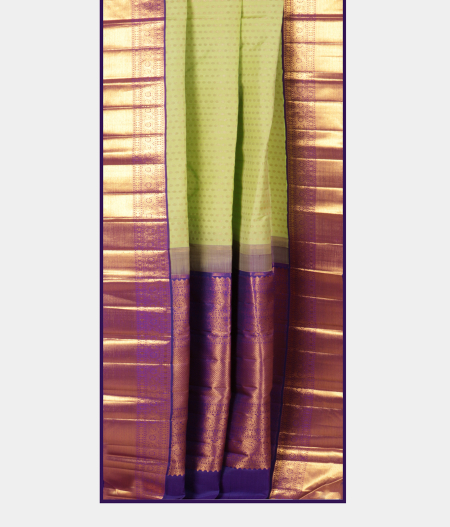 Green Handwoven Kanjivaram Silk Saree T2238662