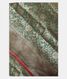 Bottle Green  Banaras Silk Saree T2258881