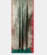 Bottle Green  Banaras Silk Saree T2258882