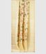 Yellow Kora Organza Saree T2255722
