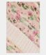 Peach Kora Organza Saree T2255801
