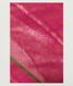 Pink Banarasi Silk Saree T2258671