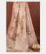 Light Peach Kora Organza Printed Saree T2239551