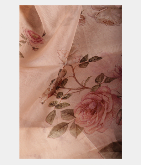 Light Peach Kora Organza Printed Saree T2239552