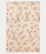 Light Peach Kora Organza Printed Saree T2239554