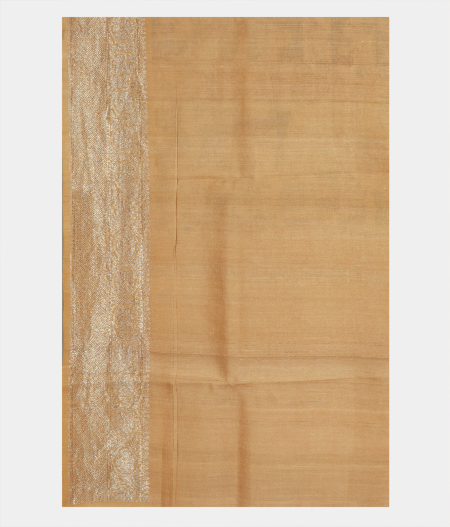 Beige Tussar Printed Saree T2197453