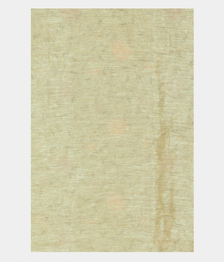 beige-linen-embroidery-saree-t225567-t225567-c