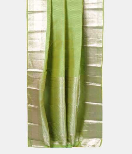 Green Handwoven Kanjivaram Silk Saree T2212532