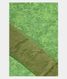 Green Silk Kota Embroidery T2055901