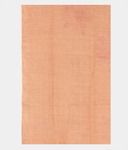 Beige Tussar Printed Saree T2254073