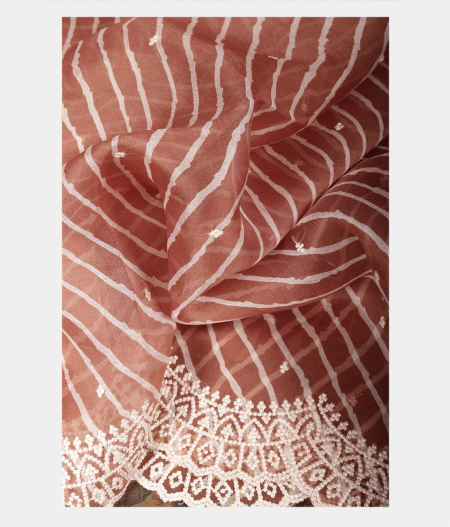 Brown Kora Organza Printed Saree T2247522