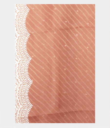 Brown Kora Organza Printed Saree T2247524