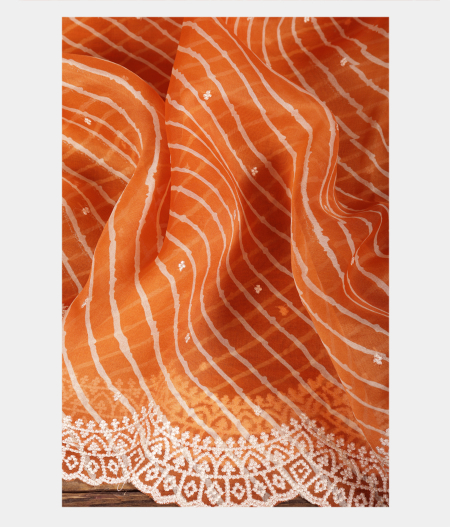 Orange Kora Organza Printed Saree T2247452