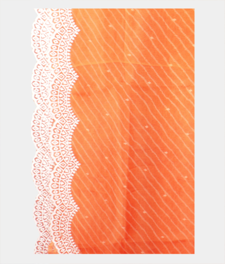 Orange Kora Organza Printed Saree T2247454
