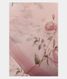 Light Pink Kora Organza Printed Saree T2163971