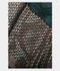 Blue Soft Printed Cotton Saree T2247671