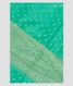green-crepe-silk-saree-t224016-t224016-a