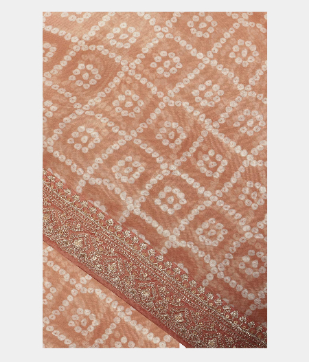 Light Beige Kora Organza Printed Saree T226304-image