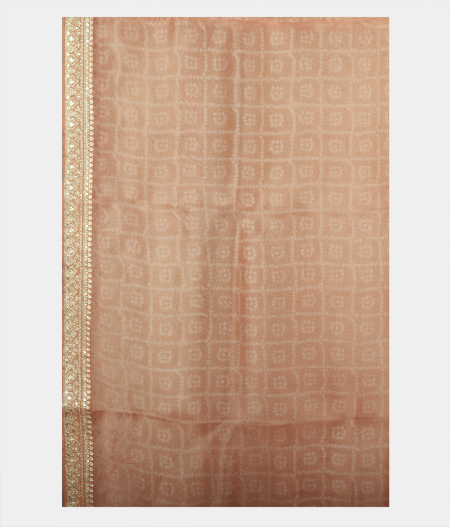 Light Beige Kora Organza Printed Saree T2263043