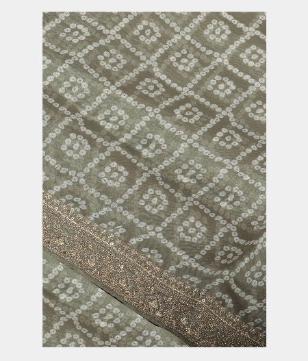 Grey Kora Organza Printed Saree T226317-image