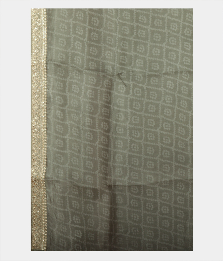 Grey Kora Organza Printed Saree T2263173