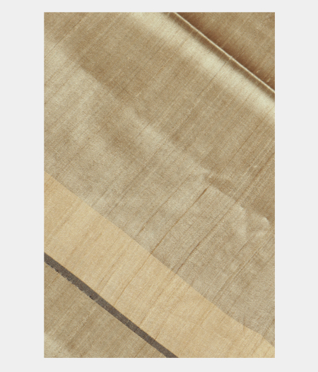 Beige Tussar Printed Saree T223232-image