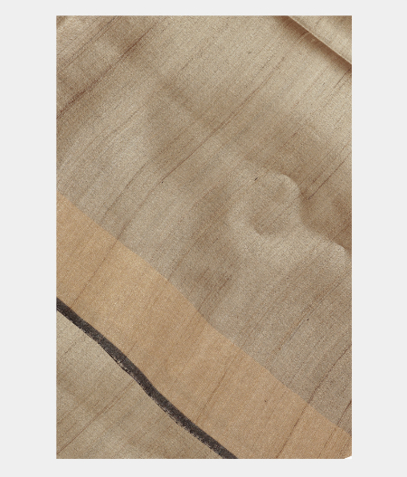 Beige Tussar Printed Saree T223218-image