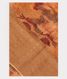 Brown Tussar Printed Saree T2254141