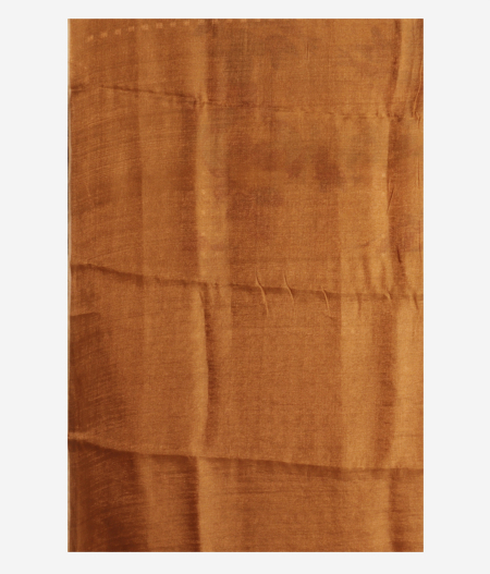 Brown Tussar Printed Saree T2254143