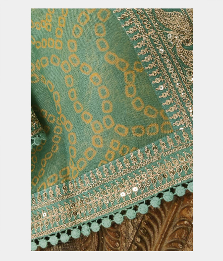 Light Green Kora Organza Printed Saree T220884-image