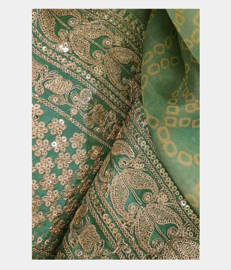 Light Green Kora Organza Printed Saree T2208842