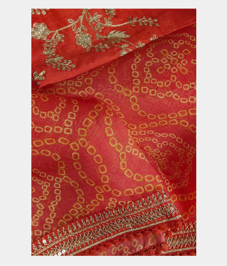 Red Kora Organza Printed Saree T220887-image
