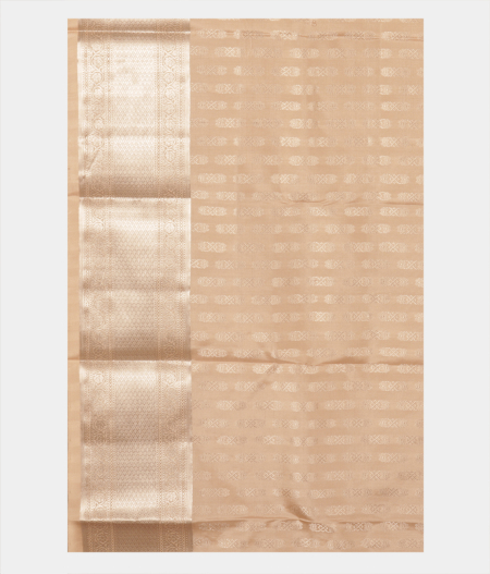 Beige Handwoven Kanjivaram Silk Saree T2212313