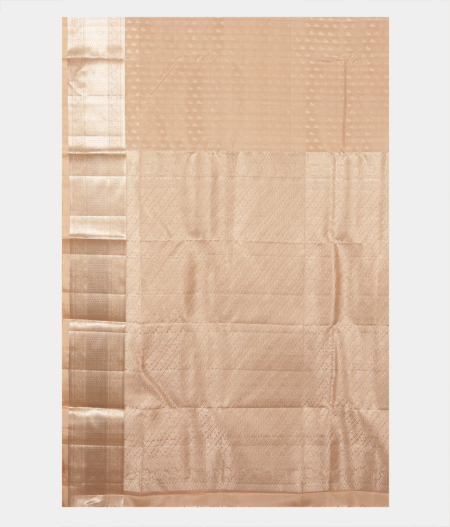 Beige Handwoven Kanjivaram Silk Saree T2212314