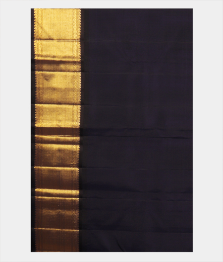 Turquoise Blue Handwoven Kanjivaram Silk Saree T2238483