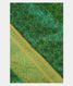 Green Soft Silk Saree T2255201