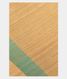 Light Yellow Handwoven Tussar Saree T1019951