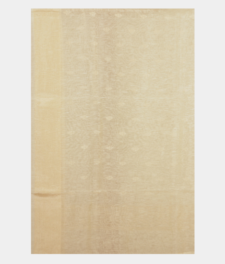 beige-linen-embroidery-saree-t226136-t226136-c